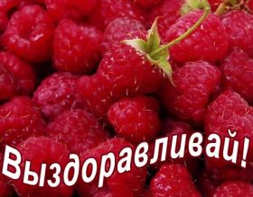 Открытка. Открытки Выздоравливай! Открытка с пожеланием здоровья, картинка не болей, надпись выздоравливай Открытка не болей, открытка выздоравливай, открытка с пожеланием выздоровления, картинка не болей, картинка выздоравливай, картинка с пожеланием выздоровления, надпись не болей, надпись выздоравливай