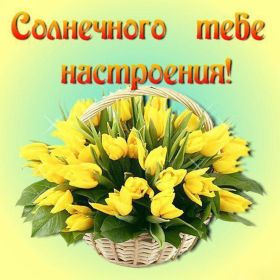 Открытка. Открытки с пожеланиями Открытка желаю Хорошего настроения, картинка с пожеланиями Хорошего настроения, Хорошего настроения тебе Открытка желаю Хорошего настроения, желаю Хорошего настроения, картинка хорошее настроение, картинка Хорошего настроения тебе, картинка Хорошего настроения вам, картинка Хорошее настроение, открытка Хорошее настроение, надпись Хорошего настроения, картинка Хорошего настроения, пожелание Хорошего настроения, дарю хорошее настроение, прекрасное настроение, солнечное настроение, радужное настроение, желаю отличного настроения