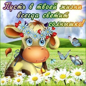 Открытка. Открытки с пожеланиями Открытка желаю Хорошего настроения, картинка с пожеланиями Хорошего настроения, Хорошего настроения тебе Открытка желаю Хорошего настроения, желаю Хорошего настроения, картинка хорошее настроение, картинка Хорошего настроения тебе, картинка Хорошего настроения вам, картинка Хорошее настроение, открытка Хорошее настроение, надпись Хорошего настроения, картинка Хорошего настроения, пожелание Хорошего настроения, дарю хорошее настроение, прекрасное настроение, солнечное настроение, радужное настроение, желаю отличного настроения