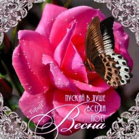 Открытка. Открытки с пожеланиями Открытка желаю Хорошего настроения, картинка с пожеланиями Хорошего настроения, Хорошего настроения тебе Открытка желаю Хорошего настроения, желаю Хорошего настроения, картинка хорошее настроение, картинка Хорошего настроения тебе, картинка Хорошего настроения вам, картинка Хорошее настроение, открытка Хорошее настроение, надпись Хорошего настроения, картинка Хорошего настроения, пожелание Хорошего настроения, дарю хорошее настроение, прекрасное настроение, солнечное настроение, радужное настроение, желаю отличного настроения