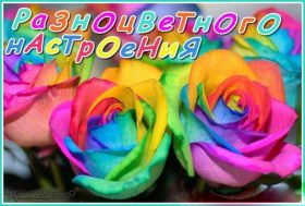 Открытка. Открытки с пожеланиями Открытка желаю Хорошего настроения, картинка с пожеланиями Хорошего настроения, Хорошего настроения тебе Открытка желаю Хорошего настроения, желаю Хорошего настроения, картинка хорошее настроение, картинка Хорошего настроения тебе, картинка Хорошего настроения вам, картинка Хорошее настроение, открытка Хорошее настроение, надпись Хорошего настроения, картинка Хорошего настроения, пожелание Хорошего настроения, дарю хорошее настроение, прекрасное настроение, солнечное настроение, радужное настроение, желаю отличного настроения