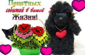 Открытка. Открытки с пожеланиями Открытка желаю Хорошего настроения, картинка с пожеланиями Хорошего настроения, Хорошего настроения тебе Открытка желаю Хорошего настроения, желаю Хорошего настроения, картинка хорошее настроение, картинка Хорошего настроения тебе, картинка Хорошего настроения вам, картинка Хорошее настроение, открытка Хорошее настроение, надпись Хорошего настроения, картинка Хорошего настроения, пожелание Хорошего настроения, дарю хорошее настроение, прекрасное настроение, солнечное настроение, радужное настроение, желаю отличного настроения