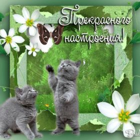 Открытка. Открытки с пожеланиями Открытка желаю Хорошего настроения, картинка с пожеланиями Хорошего настроения, Хорошего настроения тебе Открытка желаю Хорошего настроения, желаю Хорошего настроения, картинка хорошее настроение, картинка Хорошего настроения тебе, картинка Хорошего настроения вам, картинка Хорошее настроение, открытка Хорошее настроение, надпись Хорошего настроения, картинка Хорошего настроения, пожелание Хорошего настроения, дарю хорошее настроение, прекрасное настроение, солнечное настроение, радужное настроение, желаю отличного настроения