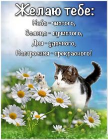 Открытка. Открытки с пожеланиями Открытка желаю Хорошего настроения, картинка с пожеланиями Хорошего настроения, Хорошего настроения тебе Открытка желаю Хорошего настроения, желаю Хорошего настроения, картинка хорошее настроение, картинка Хорошего настроения тебе, картинка Хорошего настроения вам, картинка Хорошее настроение, открытка Хорошее настроение, надпись Хорошего настроения, картинка Хорошего настроения, пожелание Хорошего настроения, дарю хорошее настроение, прекрасное настроение, солнечное настроение, радужное настроение, желаю отличного настроения