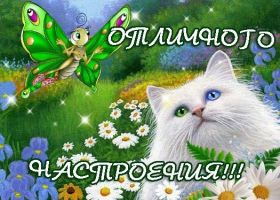 Открытка. Открытки с пожеланиями Открытка желаю Хорошего настроения, картинка с пожеланиями Хорошего настроения, Хорошего настроения тебе Открытка желаю Хорошего настроения, желаю Хорошего настроения, картинка хорошее настроение, картинка Хорошего настроения тебе, картинка Хорошего настроения вам, картинка Хорошее настроение, открытка Хорошее настроение, надпись Хорошего настроения, картинка Хорошего настроения, пожелание Хорошего настроения, дарю хорошее настроение, прекрасное настроение, солнечное настроение, радужное настроение, желаю отличного настроения