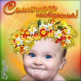 Открытка. Открытки с пожеланиями Открытка желаю Хорошего настроения, картинка с пожеланиями Хорошего настроения, Хорошего настроения тебе Открытка желаю Хорошего настроения, желаю Хорошего настроения, картинка хорошее настроение, картинка Хорошего настроения тебе, картинка Хорошего настроения вам, картинка Хорошее настроение, открытка Хорошее настроение, надпись Хорошего настроения, картинка Хорошего настроения, пожелание Хорошего настроения, дарю хорошее настроение, прекрасное настроение, солнечное настроение, радужное настроение, желаю отличного настроения