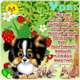 Открытка. Открытки с пожеланиями Открытка желаю Хорошего настроения, картинка с пожеланиями Хорошего настроения, Хорошего настроения тебе Открытка желаю Хорошего настроения, желаю Хорошего настроения, картинка хорошее настроение, картинка Хорошего настроения тебе, картинка Хорошего настроения вам, картинка Хорошее настроение, открытка Хорошее настроение, надпись Хорошего настроения, картинка Хорошего настроения, пожелание Хорошего настроения, дарю хорошее настроение, прекрасное настроение, солнечное настроение, радужное настроение, желаю отличного настроения