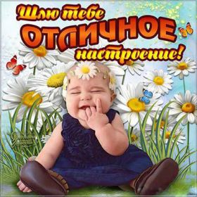 Открытка. Открытки с пожеланиями Открытка желаю Хорошего настроения, картинка с пожеланиями Хорошего настроения, Хорошего настроения тебе Открытка желаю Хорошего настроения, желаю Хорошего настроения, картинка хорошее настроение, картинка Хорошего настроения тебе, картинка Хорошего настроения вам, картинка Хорошее настроение, открытка Хорошее настроение, надпись Хорошего настроения, картинка Хорошего настроения, пожелание Хорошего настроения, дарю хорошее настроение, прекрасное настроение, солнечное настроение, радужное настроение, желаю отличного настроения