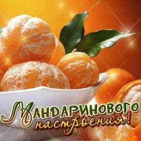 Открытка. Открытки с пожеланиями Открытка желаю Хорошего настроения, картинка с пожеланиями Хорошего настроения, Хорошего настроения тебе Открытка желаю Хорошего настроения, желаю Хорошего настроения, картинка хорошее настроение, картинка Хорошего настроения тебе, картинка Хорошего настроения вам, картинка Хорошее настроение, открытка Хорошее настроение, надпись Хорошего настроения, картинка Хорошего настроения, пожелание Хорошего настроения, дарю хорошее настроение, прекрасное настроение, солнечное настроение, радужное настроение, желаю отличного настроения