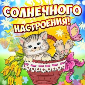 Открытка. Открытки с пожеланиями Открытка желаю Хорошего настроения, картинка с пожеланиями Хорошего настроения, Хорошего настроения тебе Открытка желаю Хорошего настроения, желаю Хорошего настроения, картинка хорошее настроение, картинка Хорошего настроения тебе, картинка Хорошего настроения вам, картинка Хорошее настроение, открытка Хорошее настроение, надпись Хорошего настроения, картинка Хорошего настроения, пожелание Хорошего настроения, дарю хорошее настроение, прекрасное настроение, солнечное настроение, радужное настроение, желаю отличного настроения