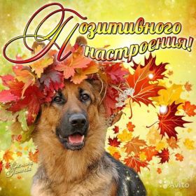 Открытка. Открытки с пожеланиями Открытка желаю Хорошего настроения, картинка с пожеланиями Хорошего настроения, Хорошего настроения тебе Открытка желаю Хорошего настроения, желаю Хорошего настроения, картинка хорошее настроение, картинка Хорошего настроения тебе, картинка Хорошего настроения вам, картинка Хорошее настроение, открытка Хорошее настроение, надпись Хорошего настроения, картинка Хорошего настроения, пожелание Хорошего настроения, дарю хорошее настроение, прекрасное настроение, солнечное настроение, радужное настроение, желаю отличного настроения