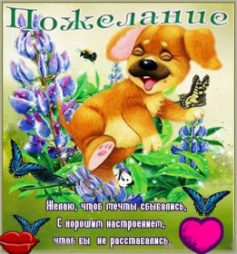 Открытка. Открытки с пожеланиями Открытка желаю Хорошего настроения, картинка с пожеланиями Хорошего настроения, Хорошего настроения тебе Открытка желаю Хорошего настроения, желаю Хорошего настроения, картинка хорошее настроение, картинка Хорошего настроения тебе, картинка Хорошего настроения вам, картинка Хорошее настроение, открытка Хорошее настроение, надпись Хорошего настроения, картинка Хорошего настроения, пожелание Хорошего настроения, дарю хорошее настроение, прекрасное настроение, солнечное настроение, радужное настроение, желаю отличного настроения