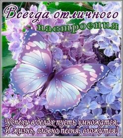 Открытка. Открытки с пожеланиями Открытка желаю Хорошего настроения, картинка с пожеланиями Хорошего настроения, Хорошего настроения тебе Открытка желаю Хорошего настроения, желаю Хорошего настроения, картинка хорошее настроение, картинка Хорошего настроения тебе, картинка Хорошего настроения вам, картинка Хорошее настроение, открытка Хорошее настроение, надпись Хорошего настроения, картинка Хорошего настроения, пожелание Хорошего настроения, дарю хорошее настроение, прекрасное настроение, солнечное настроение, радужное настроение, желаю отличного настроения