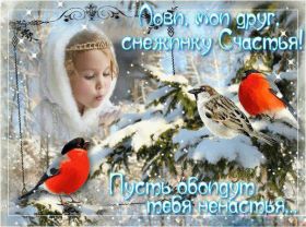 Открытка. Открытки с пожеланиями Открытка желаю счастья, картинка с пожеланиями счастья, счастья тебе Открытка желаю счастья, желаю счастья, подкова на счастье, картинка счастья тебе, картинка будь счастлив, картинка счастья вам, картинка ангел на счастье, картинка счастье, открытка счастье, надпись счастье