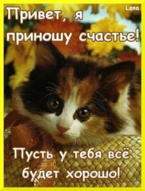 Открытка. Открытки с пожеланиями Открытка желаю счастья, картинка с пожеланиями счастья, счастья тебе Открытка желаю счастья, желаю счастья, подкова на счастье, картинка счастья тебе, картинка будь счастлив, картинка счастья вам, картинка ангел на счастье, картинка счастье, открытка счастье, надпись счастье