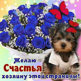 Открытка. Открытки с пожеланиями Открытка желаю счастья, картинка с пожеланиями счастья, счастья тебе Открытка желаю счастья, желаю счастья, подкова на счастье, картинка счастья тебе, картинка будь счастлив, картинка счастья вам, картинка ангел на счастье, картинка счастье, открытка счастье, надпись счастье