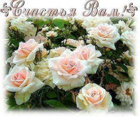 Открытка. Открытки с пожеланиями Открытка желаю счастья, картинка с пожеланиями счастья, счастья тебе Открытка желаю счастья, желаю счастья, подкова на счастье, картинка счастья тебе, картинка будь счастлив, картинка счастья вам, картинка ангел на счастье, картинка счастье, открытка счастье, надпись счастье