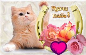 Открытка. Открытки с пожеланиями Открытка желаю удачи, картинка с пожеланиями удачи, удачи тебе Открытка желаю удачи, желаю удачи, картинка на удачу, картинка удачи тебе, картинка удача, картинка удачи вам, картинка удача, открытка удача, надпись удача, картинка удачного дня, пожелание удачи