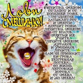 Открытка! Открытка улыбнись, картинка улыбнись, надпись улыбнись, картинка улыбайся