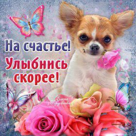 Открытка! Открытка улыбнись, картинка улыбнись, надпись улыбнись, картинка улыбайся