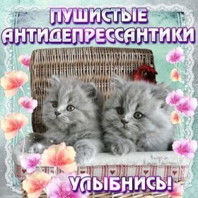 Открытка. Открытки Улыбнись! Открытка улыбнись, картинка улыбнись, надпись улыбнись, картинка улыбайся Открытка улыбнись, картинка улыбнись, надпись улыбнись, картинка улыбайся, картинка чтобы ты улыбнулся, картинка чтобы ты улыбнулась, картинка улыбка, улыбнись новому дню, картинка дарю улыбку, открытка дарю улыбку