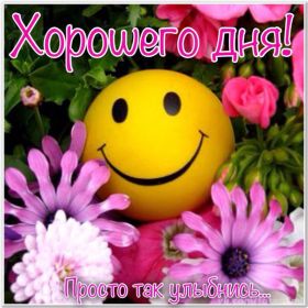 Открытка. Открытки Улыбнись! Открытка улыбнись, картинка улыбнись, надпись улыбнись, картинка улыбайся Открытка улыбнись, картинка улыбнись, надпись улыбнись, картинка улыбайся, картинка чтобы ты улыбнулся, картинка чтобы ты улыбнулась, картинка улыбка, улыбнись новому дню, картинка дарю улыбку, открытка дарю улыбку