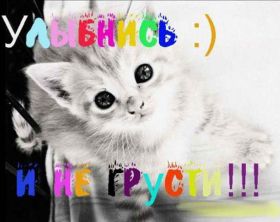 Открытка. Открытки Улыбнись! Открытка улыбнись, картинка улыбнись, надпись улыбнись, картинка улыбайся Открытка улыбнись, картинка улыбнись, надпись улыбнись, картинка улыбайся, картинка чтобы ты улыбнулся, картинка чтобы ты улыбнулась, картинка улыбка, улыбнись новому дню, картинка дарю улыбку, открытка дарю улыбку