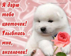 Открытка. Открытки Улыбнись! Открытка улыбнись, картинка улыбнись, надпись улыбнись, картинка улыбайся Открытка улыбнись, картинка улыбнись, надпись улыбнись, картинка улыбайся, картинка чтобы ты улыбнулся, картинка чтобы ты улыбнулась, картинка улыбка, улыбнись новому дню, картинка дарю улыбку, открытка дарю улыбку