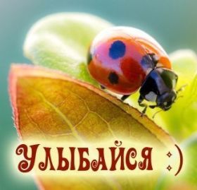 Открытка. Открытки Улыбнись! Открытка улыбнись, картинка улыбнись, надпись улыбнись, картинка улыбайся Открытка улыбнись, картинка улыбнись, надпись улыбнись, картинка улыбайся, картинка чтобы ты улыбнулся, картинка чтобы ты улыбнулась, картинка улыбка, улыбнись новому дню, картинка дарю улыбку, открытка дарю улыбку