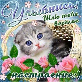 Открытка. Открытки Улыбнись! Открытка улыбнись, картинка улыбнись, надпись улыбнись, картинка улыбайся Открытка улыбнись, картинка улыбнись, надпись улыбнись, картинка улыбайся, картинка чтобы ты улыбнулся, картинка чтобы ты улыбнулась, картинка улыбка, улыбнись новому дню, картинка дарю улыбку, открытка дарю улыбку