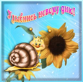 Открытка. Открытки Улыбнись! Открытка улыбнись, картинка улыбнись, надпись улыбнись, картинка улыбайся Открытка улыбнись, картинка улыбнись, надпись улыбнись, картинка улыбайся, картинка чтобы ты улыбнулся, картинка чтобы ты улыбнулась, картинка улыбка, улыбнись новому дню, картинка дарю улыбку, открытка дарю улыбку