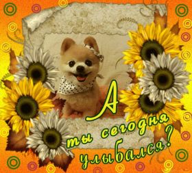 Открытка. Открытки Улыбнись! Открытка улыбнись, картинка улыбнись, надпись улыбнись, картинка улыбайся Открытка улыбнись, картинка улыбнись, надпись улыбнись, картинка улыбайся, картинка чтобы ты улыбнулся, картинка чтобы ты улыбнулась, картинка улыбка, улыбнись новому дню, картинка дарю улыбку, открытка дарю улыбку