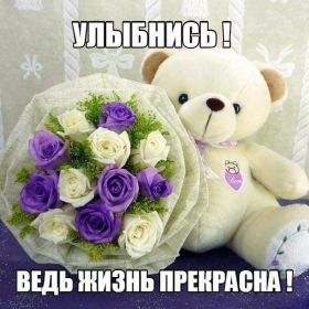 Открытка. Открытки Улыбнись! Открытка улыбнись, картинка улыбнись, надпись улыбнись, картинка улыбайся Открытка улыбнись, картинка улыбнись, надпись улыбнись, картинка улыбайся, картинка чтобы ты улыбнулся, картинка чтобы ты улыбнулась, картинка улыбка, улыбнись новому дню, картинка дарю улыбку, открытка дарю улыбку