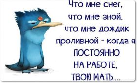 Открытка! Прикольные картинки про погоду, плохая погода, хорошая погода