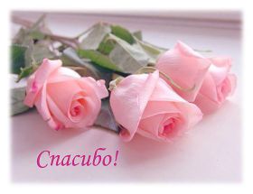 Открытка. Открытки Спасибо! А спасибо, картинка спасибо, надпись спасибо, большое спасибо Открытка спасибо, картинка спасибо, надпись спасибо, большое спасибо, открытка благодарю, картинка благодарю, надпись благодарю, открытка Thank you, картинка Thank you, надпись Thank you