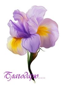 Открытка. Открытки Спасибо! Анима спасибо, картинка спасибо, надпись спасибо, большое спасибо Открытка спасибо, картинка спасибо, надпись спасибо, большое спасибо, открытка благодарю, картинка благодарю, надпись благодарю, открытка Thank you, картинка Thank you, надпись Thank you