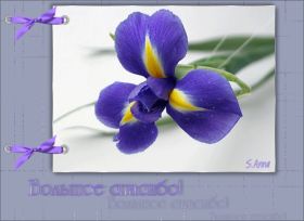 Открытка. Открытки Спасибо! Анимация спасибо, гифка спасибо, gif спасибо, надпись большое спасибо Анимация спасибо, анимированная картинка спасибо, анимационная надпись спасибо, анимация большое спасибо, анимированная открытка благодарю, анимация картинка благодарю, анимация надпись благодарю, открытка Thank you, картинка Thank you, надпись Thank you