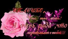 Открытка. Открытки Спасибо! Анимация спасибо, гифка спасибо, gif спасибо, надпись большое спасибо Анимация спасибо, анимированная картинка спасибо, анимационная надпись спасибо, анимация большое спасибо, анимированная открытка благодарю, анимация картинка благодарю, анимация надпись благодарю, открытка Thank you, картинка Thank you, надпись Thank you