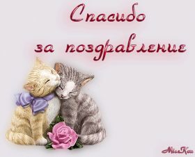 Открытка. Открытки Спасибо! Анимация спасибо, гифка спасибо, gif спасибо, надпись большое спасибо Анимация спасибо, анимированная картинка спасибо, анимационная надпись спасибо, анимация большое спасибо, анимированная открытка благодарю, анимация картинка благодарю, анимация надпись благодарю, открытка Thank you, картинка Thank you, надпись Thank you