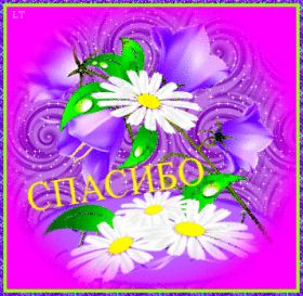 Открытка. Открытки Спасибо! Анимация спасибо, гифка спасибо, gif спасибо, надпись большое спасибо Анимация спасибо, анимированная картинка спасибо, анимационная надпись спасибо, анимация большое спасибо, анимированная открытка благодарю, анимация картинка благодарю, анимация надпись благодарю, открытка Thank you, картинка Thank you, надпись Thank you