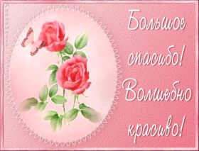 Открытка. Открытки Спасибо! Анимация спасибо, гифка спасибо, gif спасибо, надпись большое спасибо Анимация спасибо, анимированная картинка спасибо, анимационная надпись спасибо, анимация большое спасибо, анимированная открытка благодарю, анимация картинка благодарю, анимация надпись благодарю, открытка Thank you, картинка Thank you, надпись Thank you