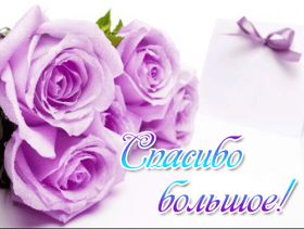 Открытка. Открытки Спасибо! Анимация спасибо, гифка спасибо, gif спасибо, надпись большое спасибо Анимация спасибо, анимированная картинка спасибо, анимационная надпись спасибо, анимация большое спасибо, анимированная открытка благодарю, анимация картинка благодарю, анимация надпись благодарю, открытка Thank you, картинка Thank you, надпись Thank you