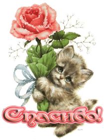 Открытка. Открытки Спасибо! Анимация спасибо, гифка спасибо, gif спасибо, надпись большое спасибо Анимация спасибо, анимированная картинка спасибо, анимационная надпись спасибо, анимация большое спасибо, анимированная открытка благодарю, анимация картинка благодарю, анимация надпись благодарю, открытка Thank you, картинка Thank you, надпись Thank you