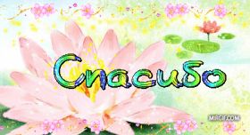 Открытка. Открытки Спасибо! Анимация спасибо, гифка спасибо, gif спасибо, надпись большое спасибо Анимация спасибо, анимированная картинка спасибо, анимационная надпись спасибо, анимация большое спасибо, анимированная открытка благодарю, анимация картинка благодарю, анимация надпись благодарю, открытка Thank you, картинка Thank you, надпись Thank you