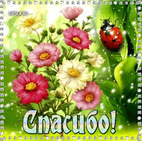 Открытка. Открытки Спасибо! Анимация спасибо, гифка спасибо, gif спасибо, надпись большое спасибо Анимация спасибо, анимированная картинка спасибо, анимационная надпись спасибо, анимация большое спасибо, анимированная открытка благодарю, анимация картинка благодарю, анимация надпись благодарю, открытка Thank you, картинка Thank you, надпись Thank you
