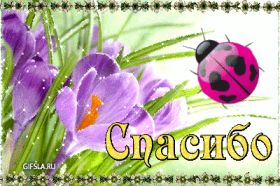 Открытка. Открытки Спасибо! Анимация спасибо, гифка спасибо, gif спасибо, надпись большое спасибо Анимация спасибо, анимированная картинка спасибо, анимационная надпись спасибо, анимация большое спасибо, анимированная открытка благодарю, анимация картинка благодарю, анимация надпись благодарю, открытка Thank you, картинка Thank you, надпись Thank you