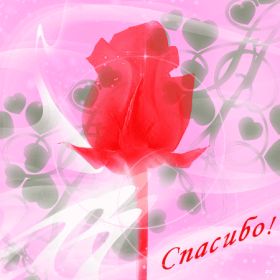 Открытка. Открытки Спасибо! Анимация спасибо, гифка спасибо, gif спасибо, надпись большое спасибо Анимация спасибо, анимированная картинка спасибо, анимационная надпись спасибо, анимация большое спасибо, анимированная открытка благодарю, анимация картинка благодарю, анимация надпись благодарю, открытка Thank you, картинка Thank you, надпись Thank you