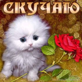 Открытка. Открытки Скучаю... Открытка скучаю, картинка скучаю, надпись скучаю, картинка скучаю без тебя Открытка скучаю, картинка скучаю, надпись скучаю, картинка скучаю без тебя, открытка скучаю по тебе, картинка я соскучилась, открытка я соскучился, я по тебе скучаю