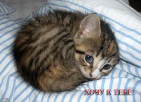 Открытка. Открытки Скучаю... Открытка скучаю, картинка скучаю, надпись скучаю, картинка скучаю без тебя Открытка скучаю, картинка скучаю, надпись скучаю, картинка скучаю без тебя, открытка скучаю по тебе, картинка я соскучилась, открытка я соскучился, я по тебе скучаю