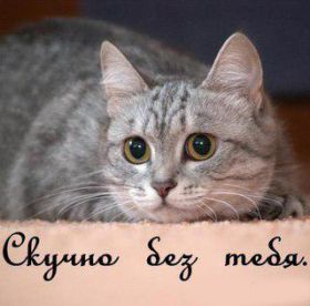 Открытка. Открытки Скучаю... Открытка скучаю, картинка скучаю, надпись скучаю, картинка скучаю без тебя Открытка скучаю, картинка скучаю, надпись скучаю, картинка скучаю без тебя, открытка скучаю по тебе, картинка я соскучилась, открытка я соскучился, я по тебе скучаю